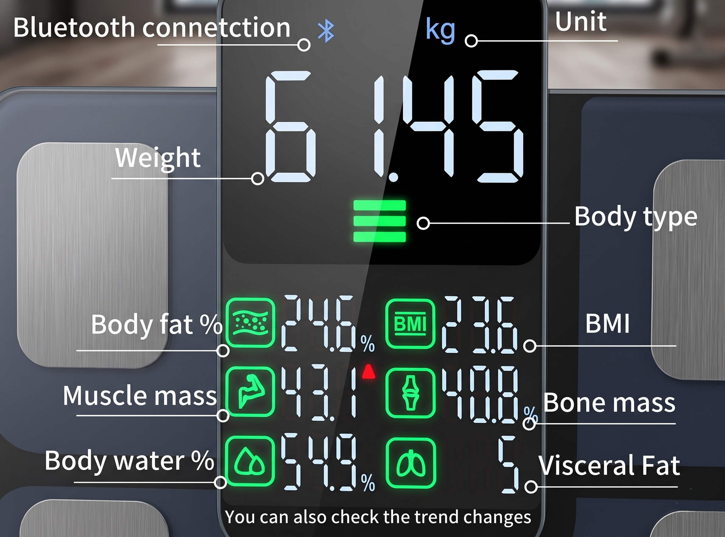 MetricMax25 Smart Scale